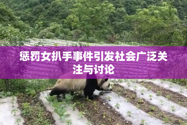 惩罚女扒手事件引发社会广泛关注与讨论