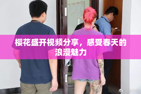 樱花盛开视频分享，感受春天的浪漫魅力