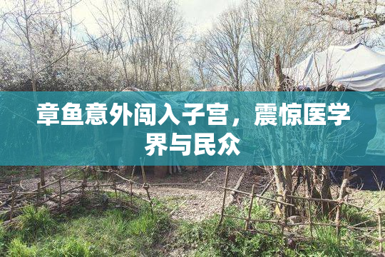 章鱼意外闯入子宫，震惊医学界与民众