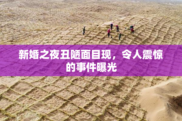 新婚之夜丑陋面目现，令人震惊的事件曝光