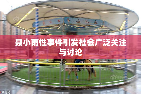 聂小雨性事件引发社会广泛关注与讨论
