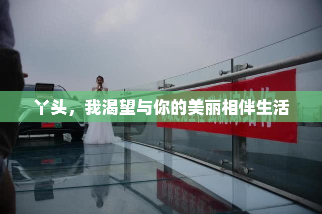 丫头，我渴望与你的美丽相伴生活