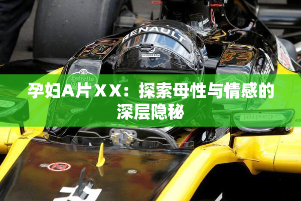 孕妇A片ⅩX：探索母性与情感的深层隐秘