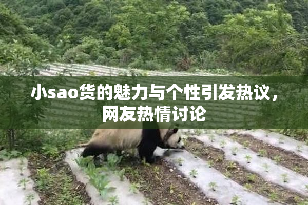 小sao货的魅力与个性引发热议，网友热情讨论