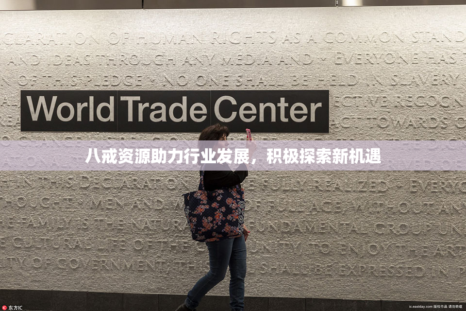 八戒资源助力行业发展，积极探索新机遇