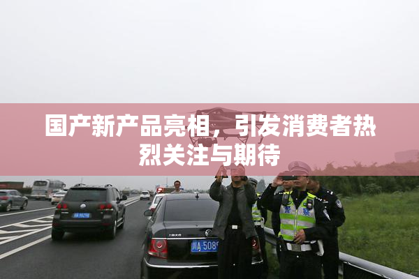 国产新产品亮相，引发消费者热烈关注与期待