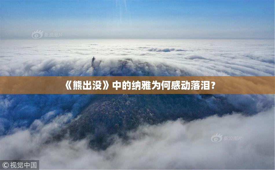 《熊出没》中的纳雅为何感动落泪？