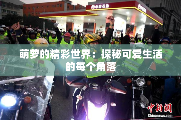 萌萝的精彩世界：探秘可爱生活的每个角落