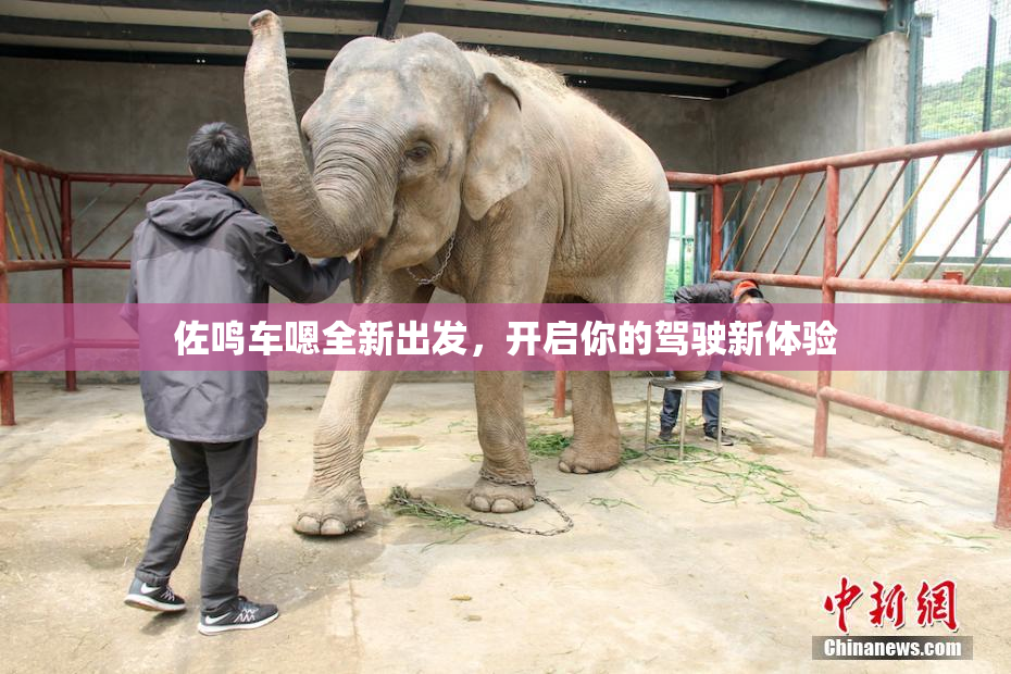佐鸣车嗯全新出发，开启你的驾驶新体验