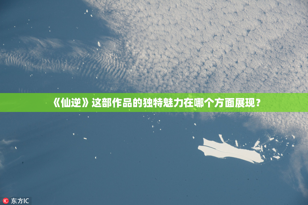 《仙逆》这部作品的独特魅力在哪个方面展现？
