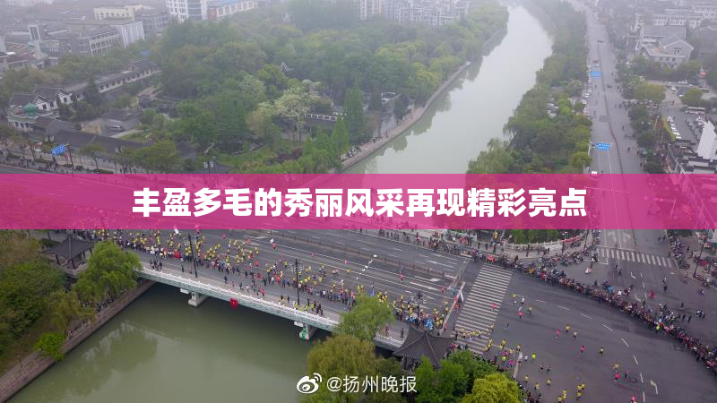 丰盈多毛的秀丽风采再现精彩亮点