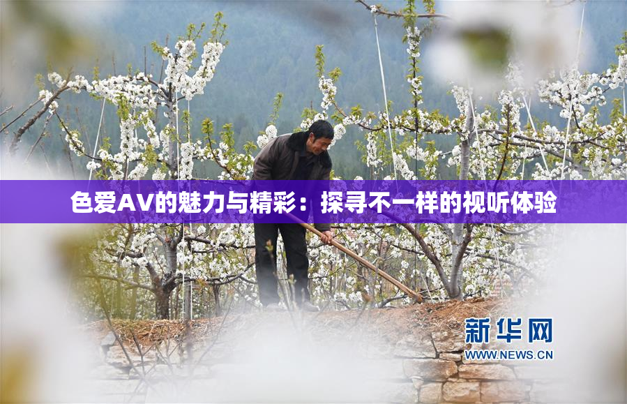 色爱AV的魅力与精彩：探寻不一样的视听体验