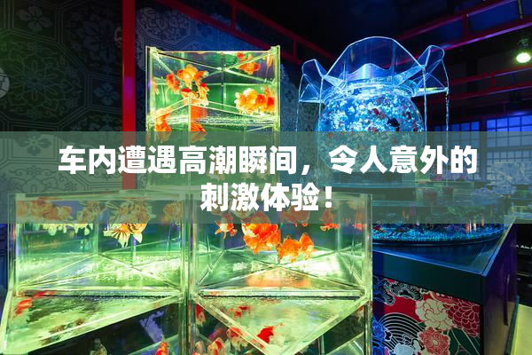 车内遭遇高潮瞬间，令人意外的刺激体验！