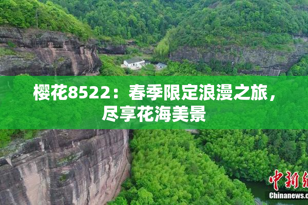 樱花8522：春季限定浪漫之旅，尽享花海美景