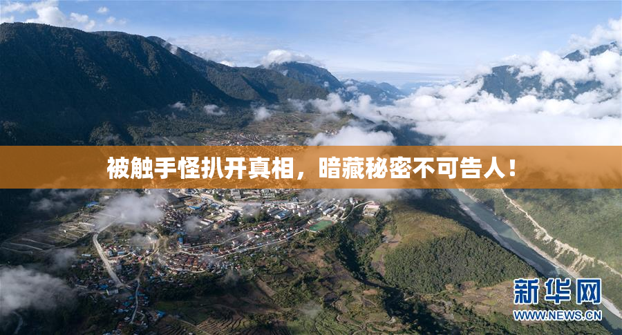 被触手怪扒开真相，暗藏秘密不可告人！
