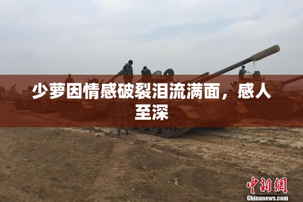 少萝因情感破裂泪流满面，感人至深