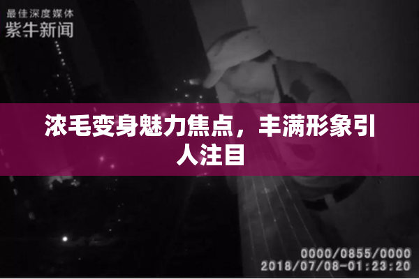 浓毛变身魅力焦点，丰满形象引人注目