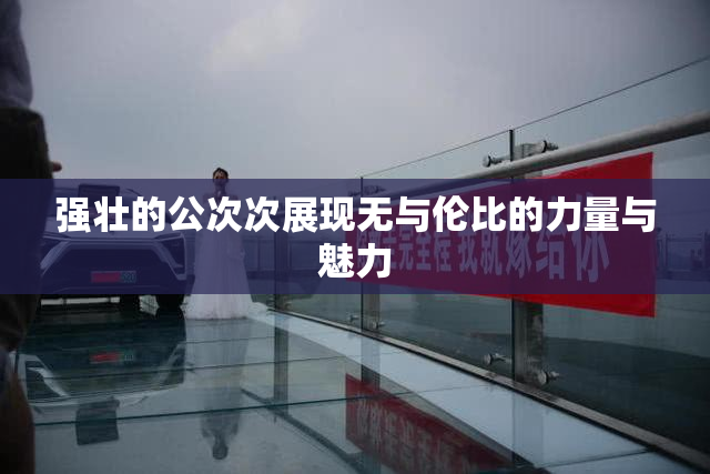 强壮的公次次展现无与伦比的力量与魅力