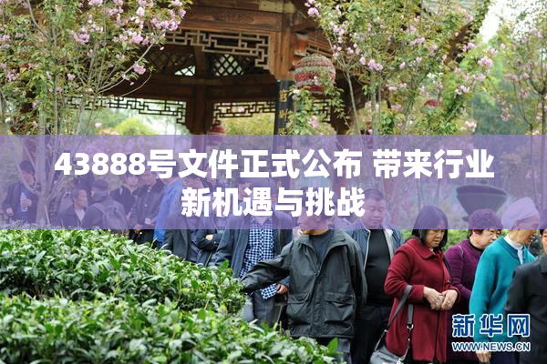 43888号文件正式公布 带来行业新机遇与挑战