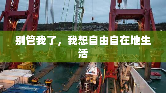 别管我了，我想自由自在地生活