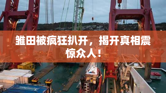 雏田被疯狂扒开，揭开真相震惊众人！