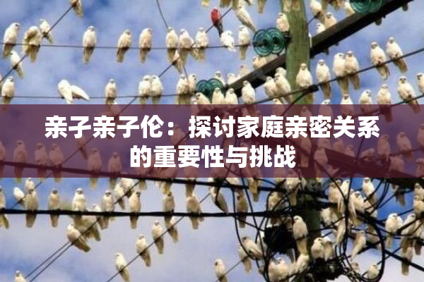 亲孑亲子伦：探讨家庭亲密关系的重要性与挑战