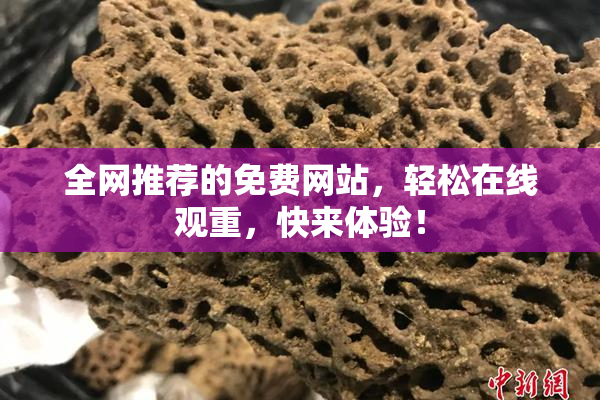 全网推荐的免费网站，轻松在线观重，快来体验！
