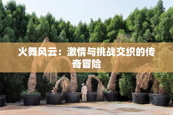 火舞风云：激情与挑战交织的传奇冒险