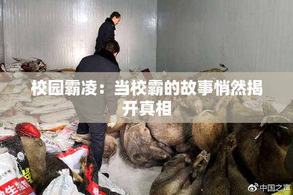 校园霸凌：当校霸的故事悄然揭开真相