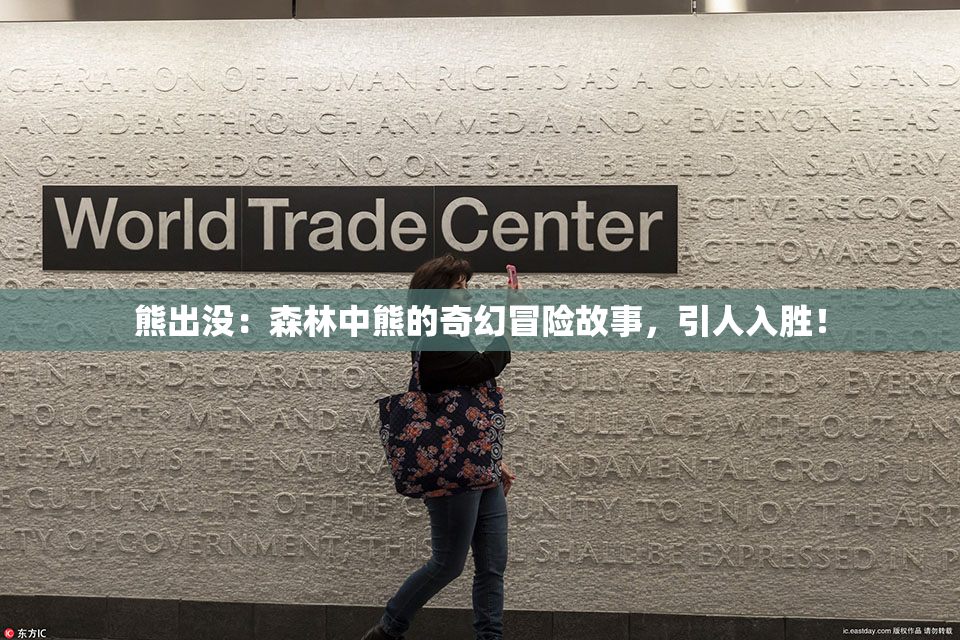 熊出没：森林中熊的奇幻冒险故事，引人入胜！