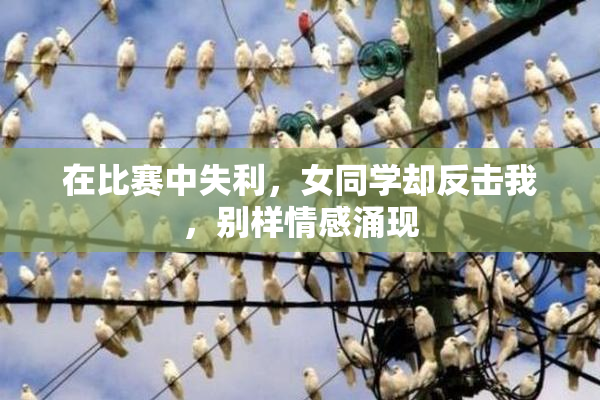 在比赛中失利，女同学却反击我，别样情感涌现
