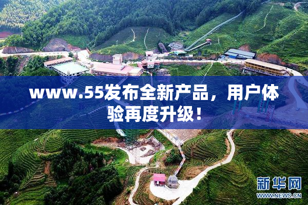 www.55发布全新产品，用户体验再度升级！