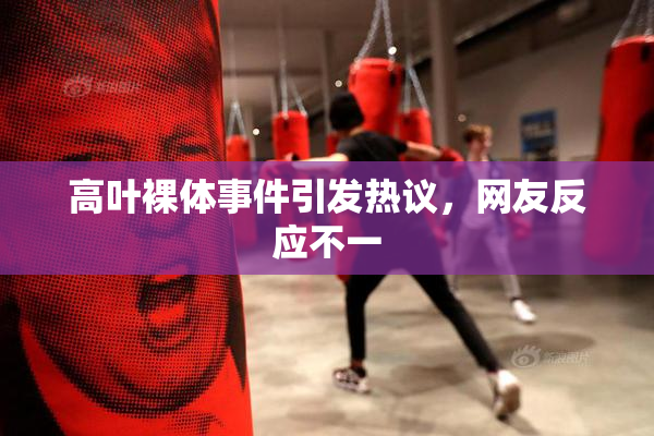 高叶裸体事件引发热议，网友反应不一