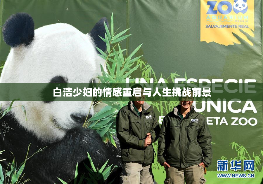 白洁少妇的情感重启与人生挑战前景