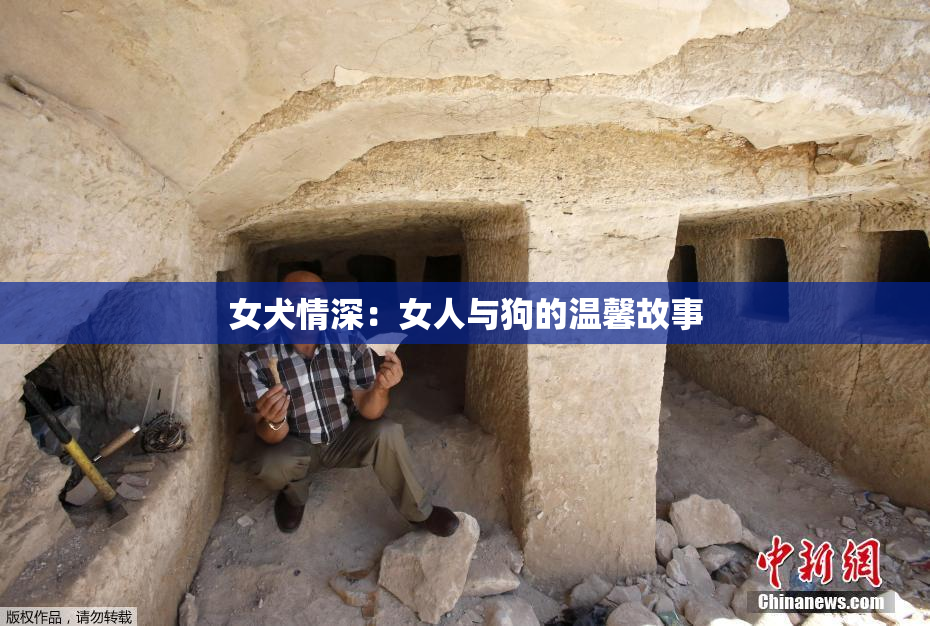 女犬情深：女人与狗的温馨故事