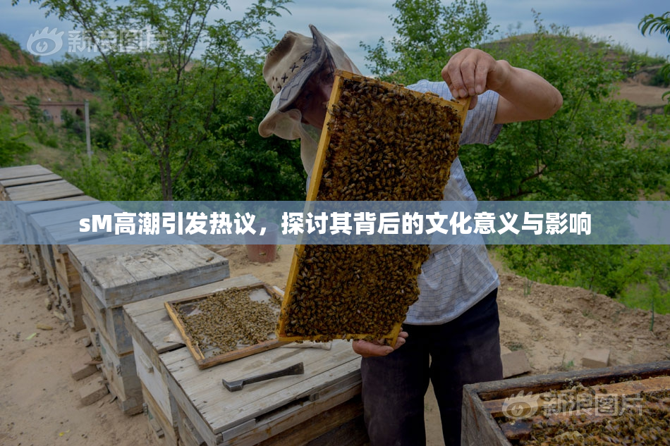 sM高潮引发热议，探讨其背后的文化意义与影响