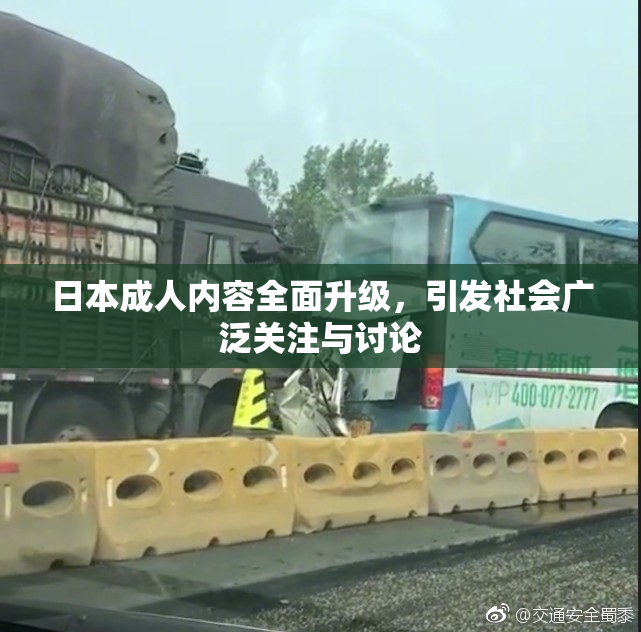 日本成人内容全面升级，引发社会广泛关注与讨论