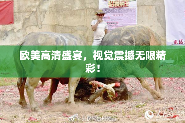 欧美高清盛宴，视觉震撼无限精彩！