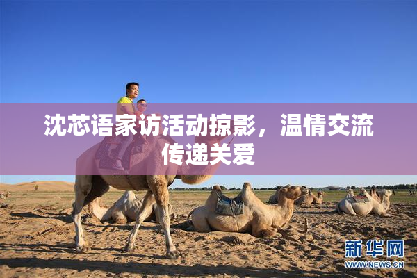 沈芯语家访活动掠影，温情交流传递关爱