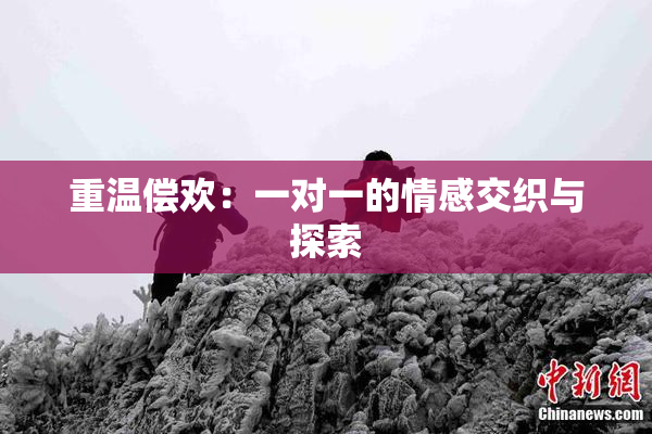 重温偿欢：一对一的情感交织与探索