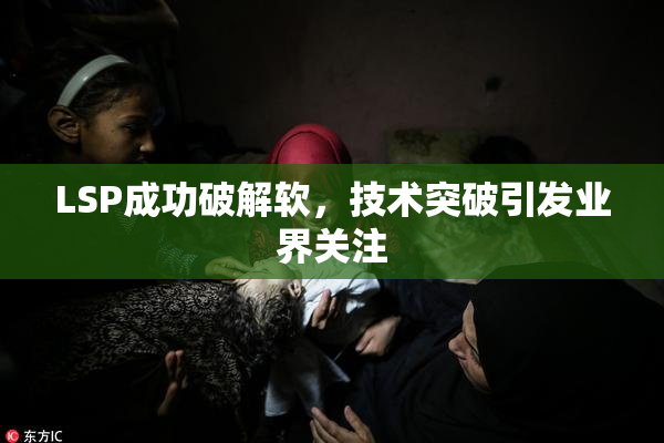 LSP成功破解软，技术突破引发业界关注