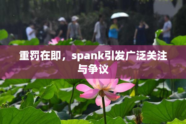 重罚在即，spank引发广泛关注与争议