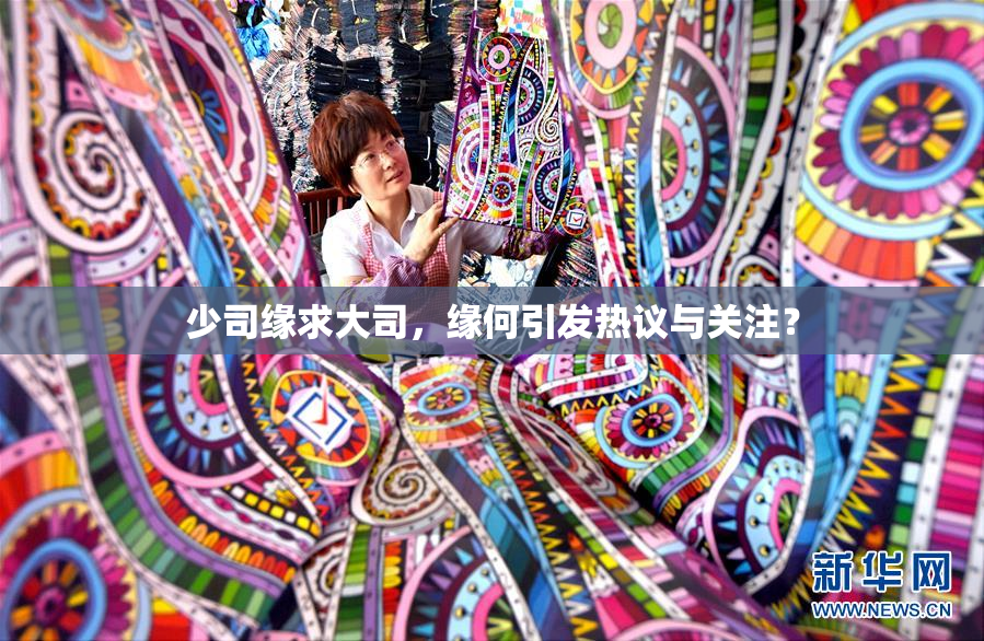 少司缘求大司，缘何引发热议与关注？