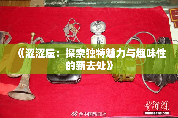 《涩涩屋：探索独特魅力与趣味性的新去处》