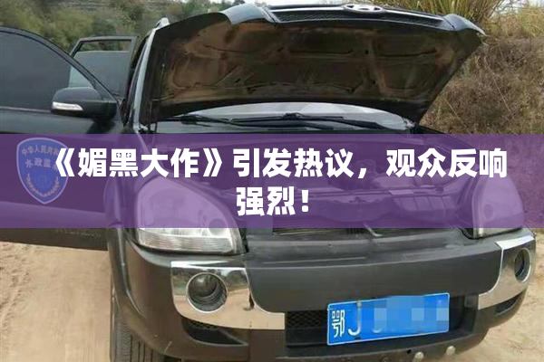 《媚黑大作》引发热议，观众反响强烈！