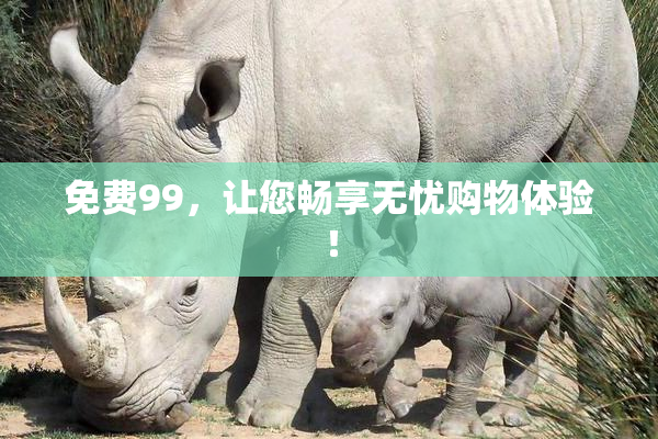 免费99，让您畅享无忧购物体验！