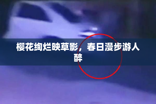樱花绚烂映草影，春日漫步游人醉
