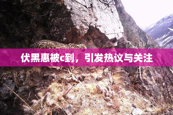 伏黑惠被c到，引发热议与关注
