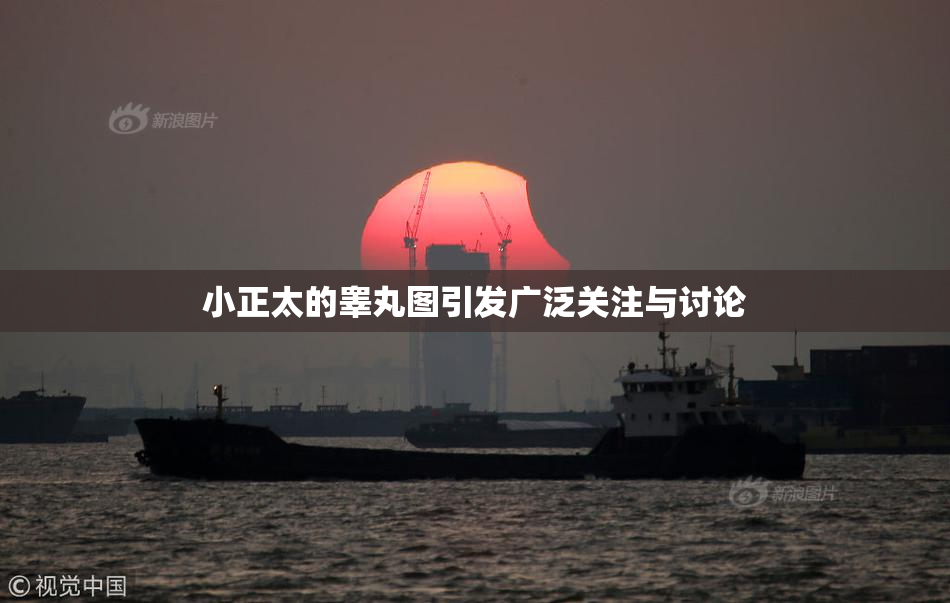 小正太的睾丸图引发广泛关注与讨论