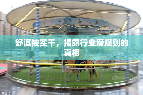 舒淇被实干，揭露行业潜规则的真相